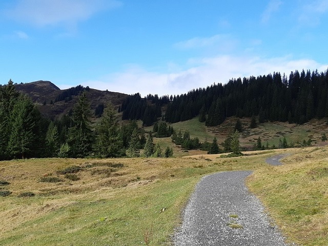 Hundetreffen 2019 im Allgäu (10)